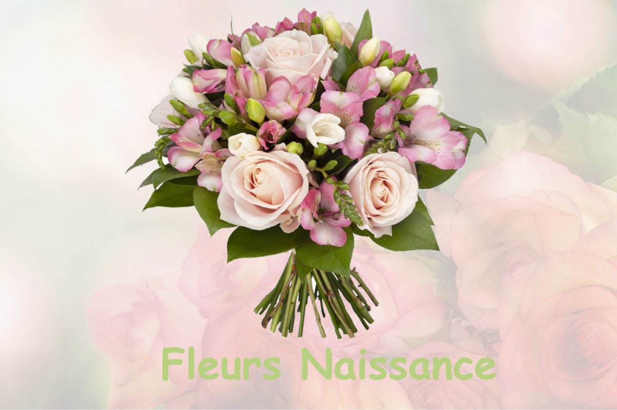 fleurs naissance ESTIBEAUX