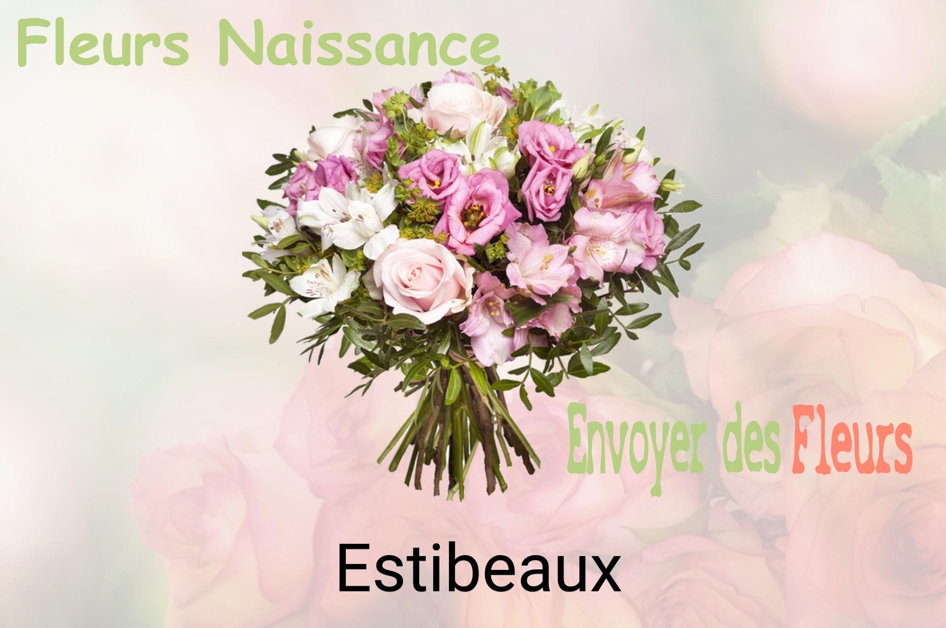 Bouquet de fleurs de naissance livré à Estibeaux
